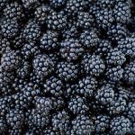 blackberries blackberries