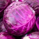 cabbage-red cabbage-red