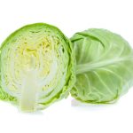 cabbage-white cabbage-white