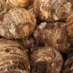 celeriac