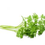 chervil chervil