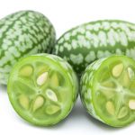 cucamelons cucamelons