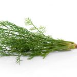 dill dill