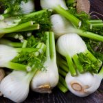 fennel fennel