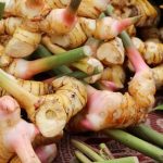 galangal