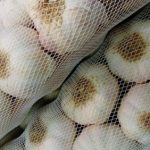 garlic-net garlic-net