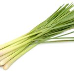 lemongrass lemongrass