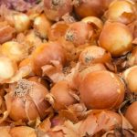 onions-spanish onions-spanish