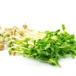 pea-shoots-chickpea pea-shoots-chickpea