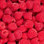raspberries raspberries