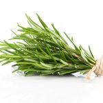 rosemary rosemary