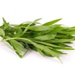 tarragon tarragon