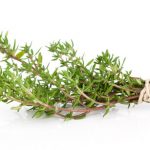 thyme thyme