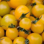 tomatoes-cherry-yellow tomatoes-cherry-yellow