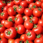 tomatoes-cooking tomatoes-cooking