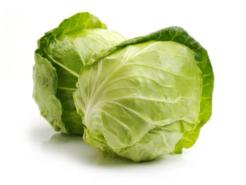 baby-cabbage-green