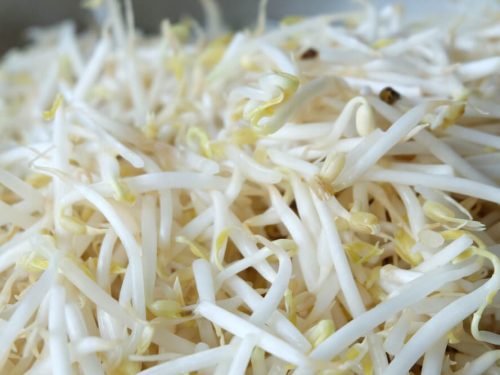 beansprouts