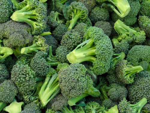broccoli broccoli