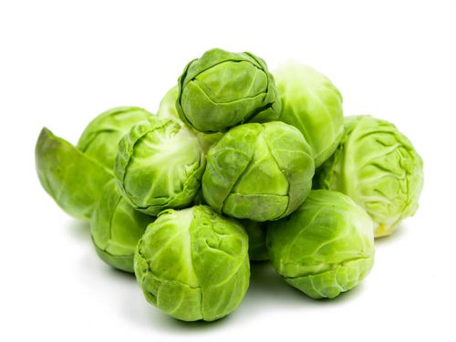 brussel-sprouts brussel-sprouts