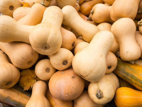 butternut-squash butternut-squash