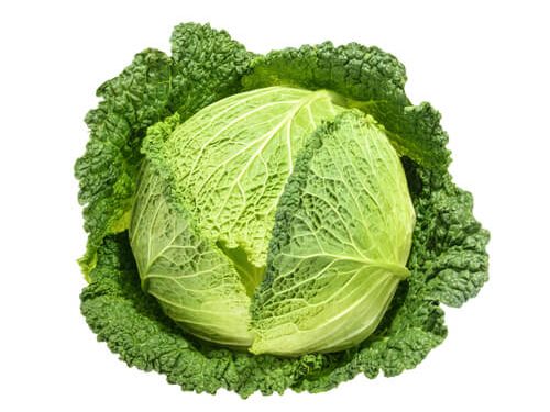 cabbage-savoy