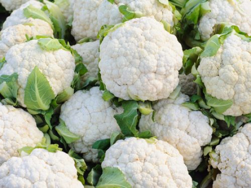 cauliflower cauliflower