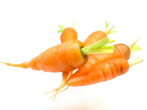 chantenay-carrots