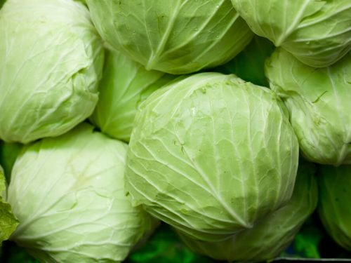 green-cabbage green-cabbage