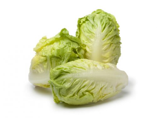 lettuce-little-gem