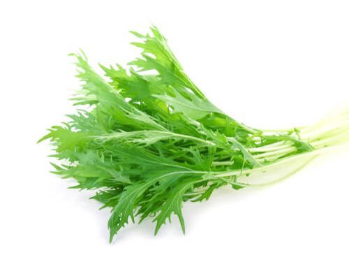 lettuce-mizuna