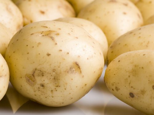 maris-piper-potatoes