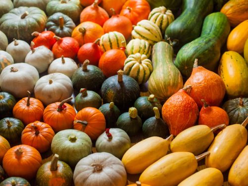 mixed-squash mixed-squash