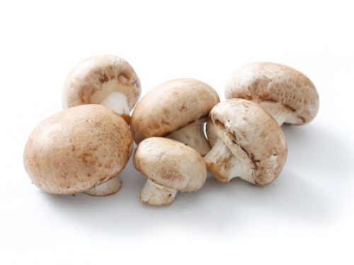 mushrooms-chestnut