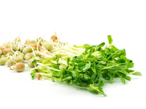 pea-shoots-chickpea