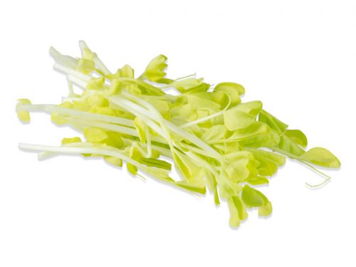 pea-shoots-golden
