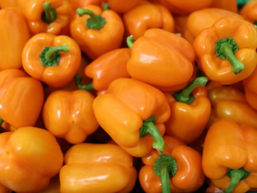 peppers-orange
