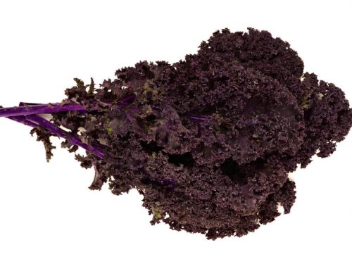 red-kale red-kale