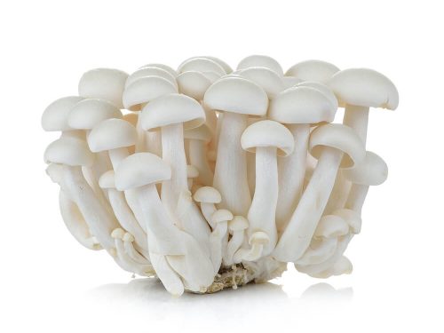 shimeji-mushrooms