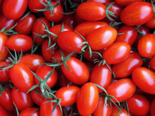 tomatoes-cherry-plum