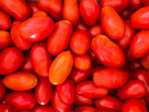 tomatoes-san-marzano