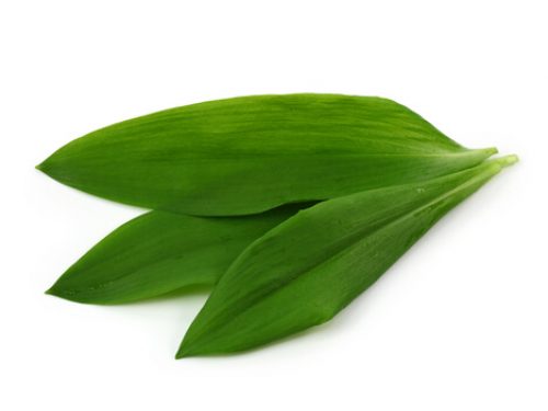 wild-garlic-leaves